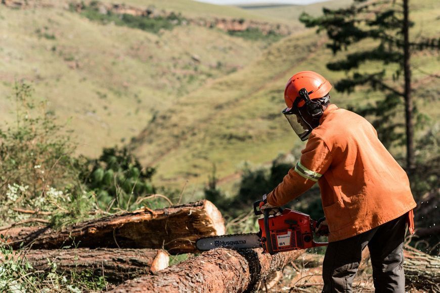 Бензопила Husqvarna 365 (9707185-18) &mdash; Професійна Ланцюгова Пила, Шина 45 См, Потужність 4.6 К.С., Ланцюг 68 Ланок