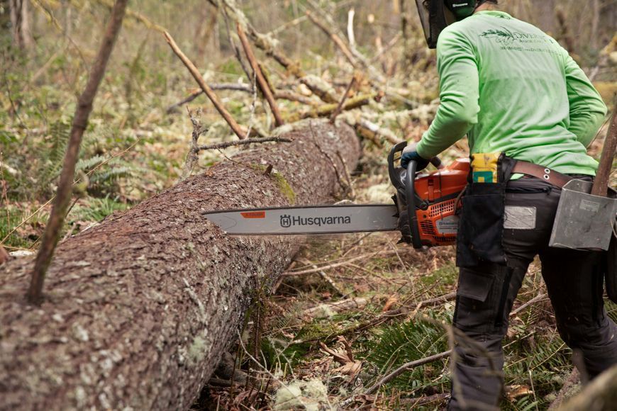 Бензопила Husqvarna 585 (970493030) &mdash; Профессиональная Цепная Пила, Шина 50 См, Мощность 5.8 Л.С., Цепь 72 Звена