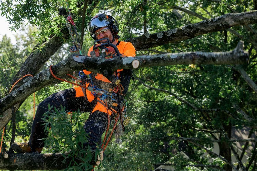 Бензопила Husqvarna 540XP III (970518114) &mdash; Профессиональная Цепная Пила, Шина 35 См, Мощность 2.6 Л.С., Цепь 52 Звена