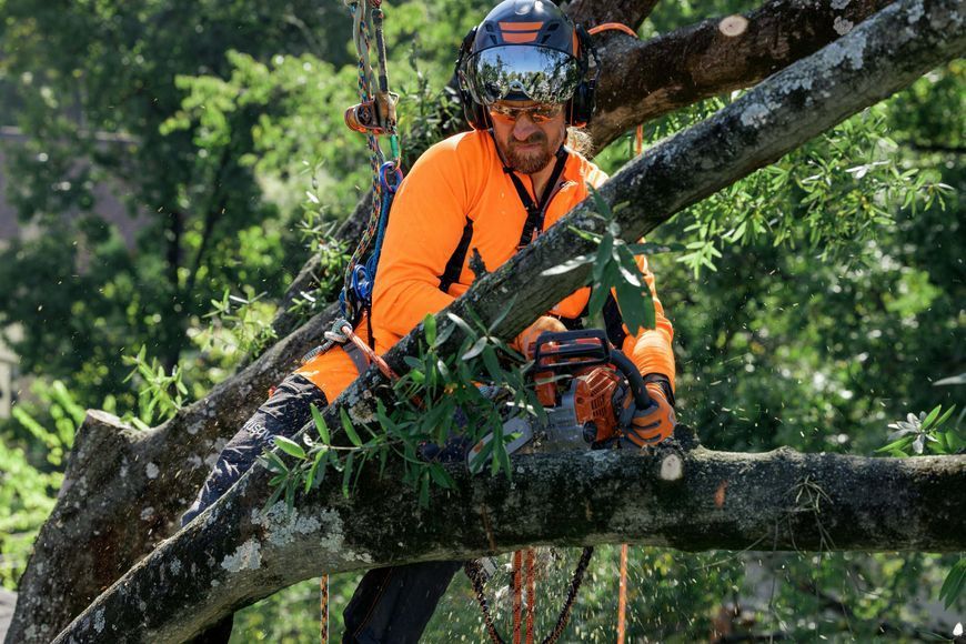 Бензопила Husqvarna 540XP III (970518114) &mdash; Профессиональная Цепная Пила, Шина 35 См, Мощность 2.6 Л.С., Цепь 52 Звена