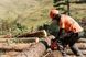 Бензопила Husqvarna 272 XP (965681618) &mdash; Профессиональная Цепная Пила 45 см, Мощность 4.9 Л.С., Цепь 68 Звеньев