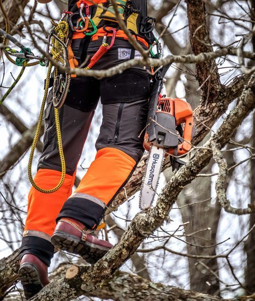 Бензопила Husqvarna T525 (9707375-10) &mdash; Шина 25 см, Мощность 1.5 Л.С., Цепь 0.325" Mini