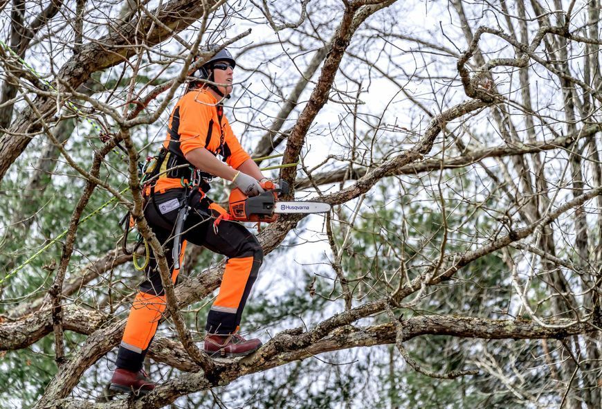 Бензопила Husqvarna T525 (9707375-10) &mdash; Шина 25 см, Мощность 1.5 Л.С., Цепь 0.325" Mini